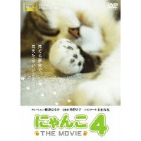 にゃんこ　THE　MOVIE　4/ＤＶＤ/PCBC-51764